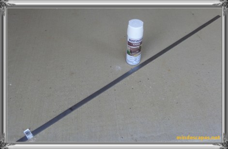 A can of Rustoleum white spray paint and a 48