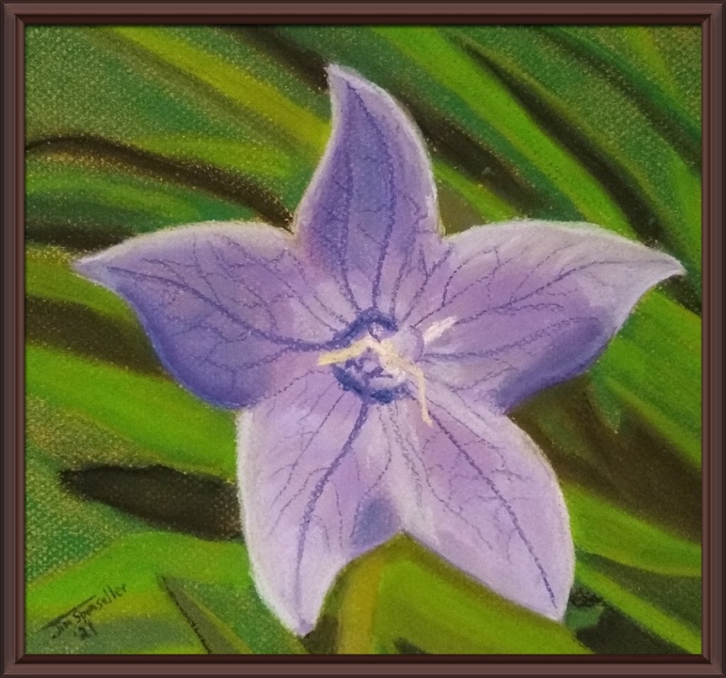 Pastel Painting of Violet Star